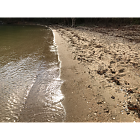 York/Poquoson King Tide image